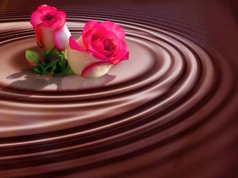 Roses and chocolate, red, swirl, chocolate, roses, white, HD wallpaper |  Peakpx