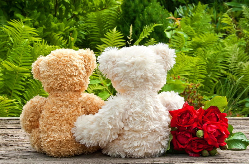 Teddy bears with roses, teddy, bonito, adorable, sweet, love, flowers, friends, lovely, gift, roses, trees, cute, bouquet, hugs, plants, summer, nature, bears, HD wallpaper