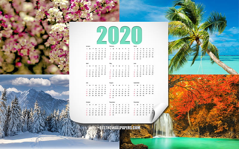 2020 Calendar, 4 seasons, autumn, winter, summer, spring, calendar for 2020, all months, creative art, 2020 concepts, HD wallpaper