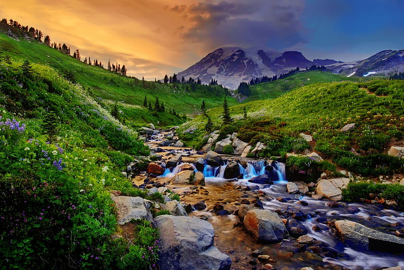 Mountain stream, mountain, hills, stream, stones, grass, sky, HD wallpaper