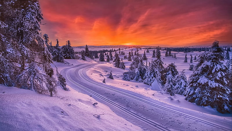 Winter Sunset, orange, red, skies, snow, yellow, winter, HD wallpaper