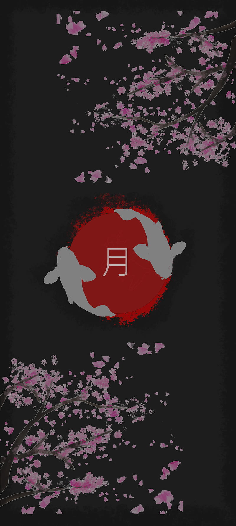 Koi fish, cherry blossom, japan, tsuki, HD phone wallpaper