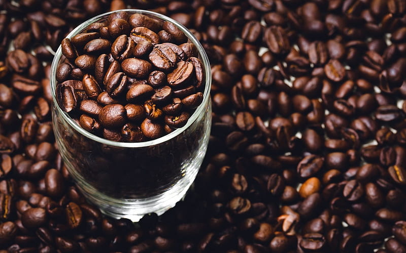 Coffee beans, glass, coffee, large coffee beans, HD wallpaper