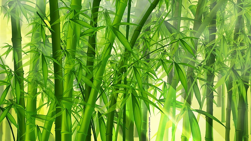 BAMBOO VECTOR, forest, green, vector, bamboo, HD wallpaper