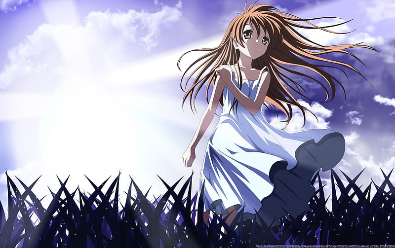 Lιɢнт σғ Ħσρɛ, Illusionary World, Hair, Plain Dress, Brown Eyes, Anime, Clannad After Story, Grass, bonito, White Clothes, Alone, Sweet, Ushio Okazaki, After Story, Purple Sky, Girl, Clannad, Brown, Light, Lovely, Wonderful, Determination, White Dress, Lonely, Brown Hair, Cute, Ray, Clouds, Hope, Average Hair, Sunlight, Ushio, HD wallpaper