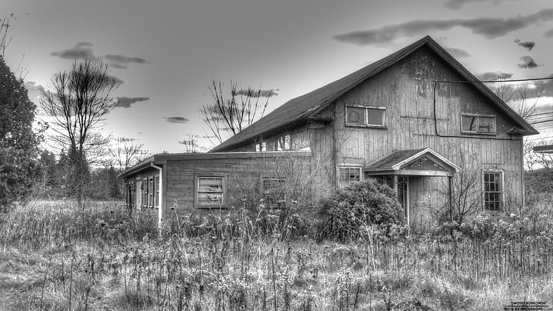 abandoned house in grey scale, grey scale, house, grass, abandoned, HD wallpaper