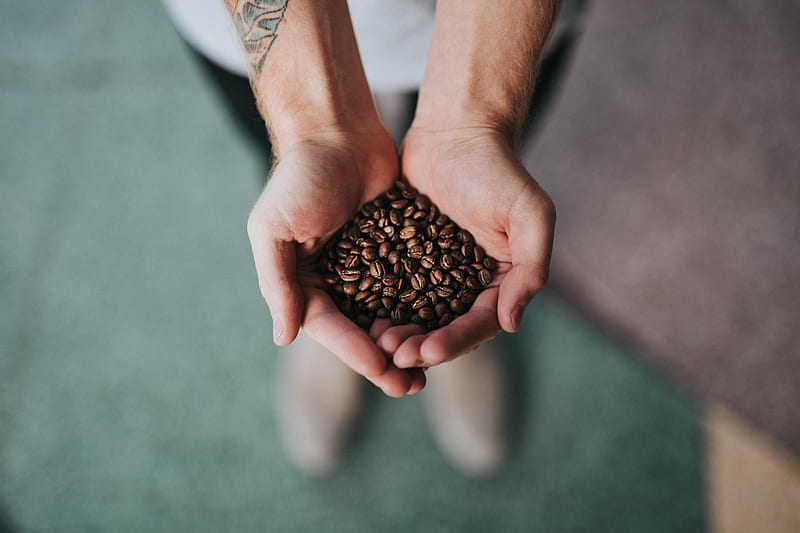 handful of coffee beans, HD wallpaper