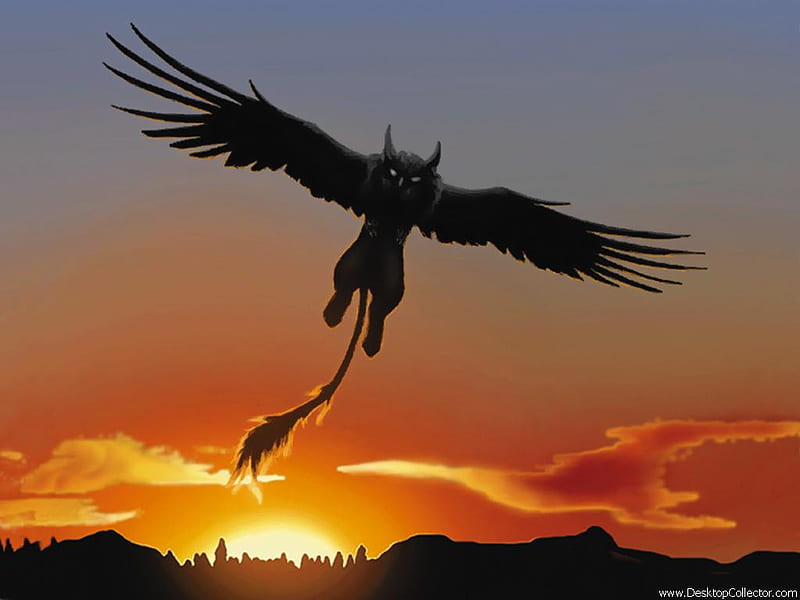 Griffin in Sunset, gryphon, griffon, sun, griffin, flying, sunset, HD wallpaper