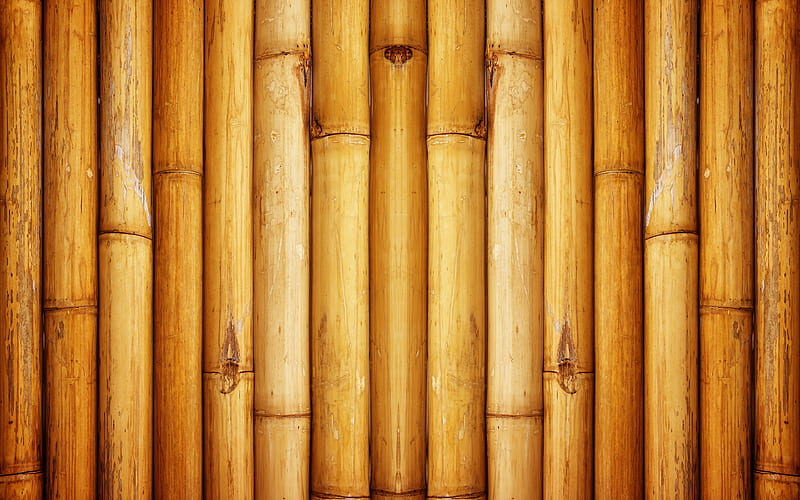 brown bamboo texture bambusoideae sticks, bamboo textures, bamboo canes, bamboo sticks, brown wooden background, bamboo, HD wallpaper
