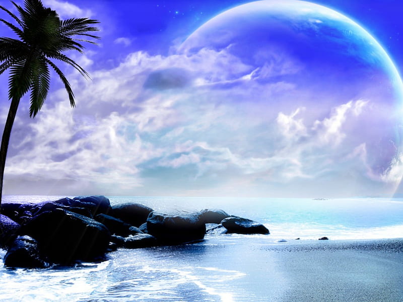 The further The Better, beach, moon, sea, palm tree, HD wallpaper