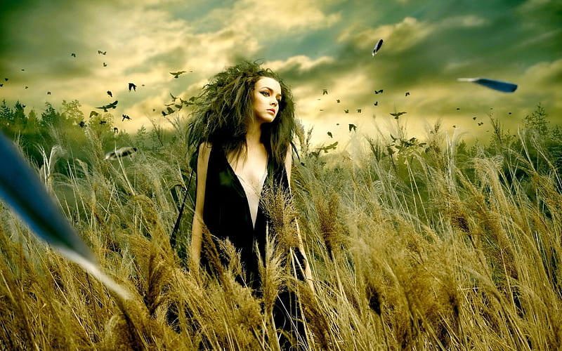 wind, field, girl, gothic, HD wallpaper