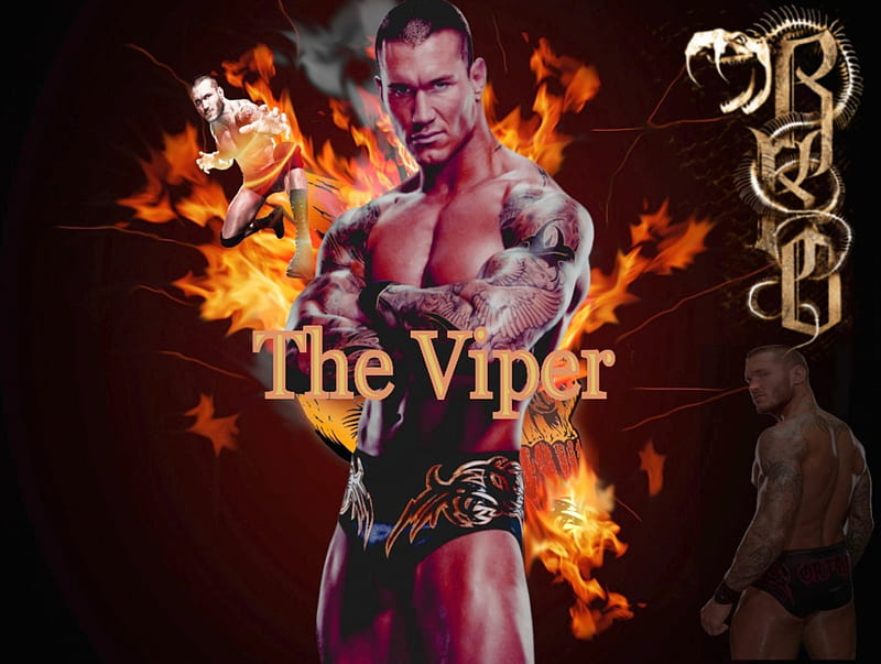 The Rising Viper, Randy Orton, The Viper, Apex Predator, RKO, HD wallpaper