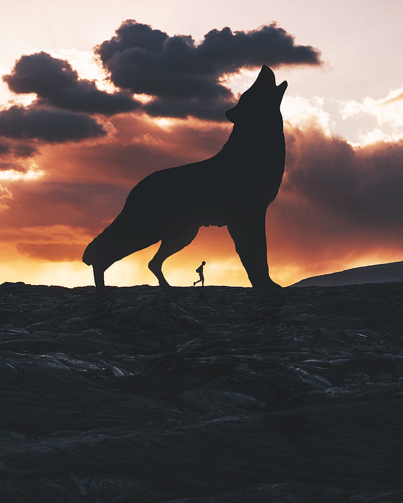 Wolf, animal, dog, dream, silhouette, spirit, think, thought, thoughts, walk, HD phone wallpaper