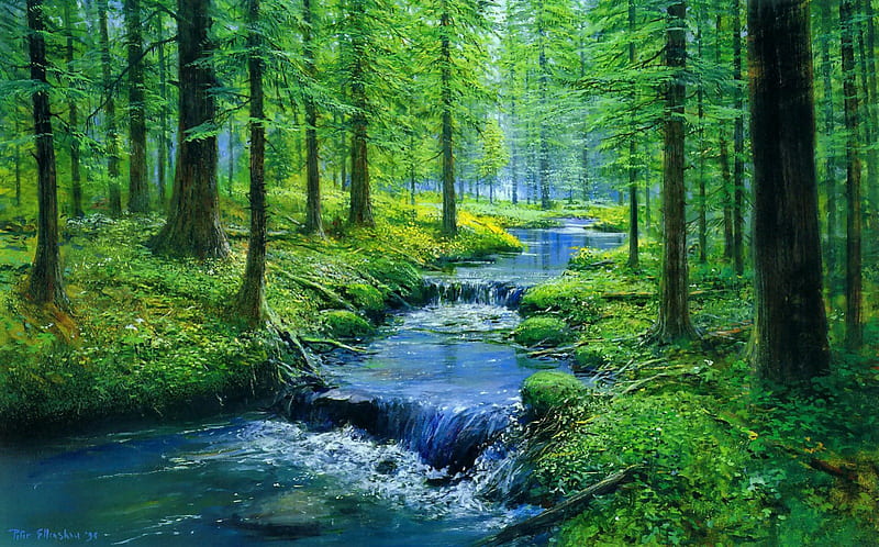 Forest silence, stream, pretty, woods, cascades, nice, painting, river, art, forest, quiet, lovely, silence, greenery, beautuiful, spring, creek, trees, serenity, summer, nature, branches, HD wallpaper