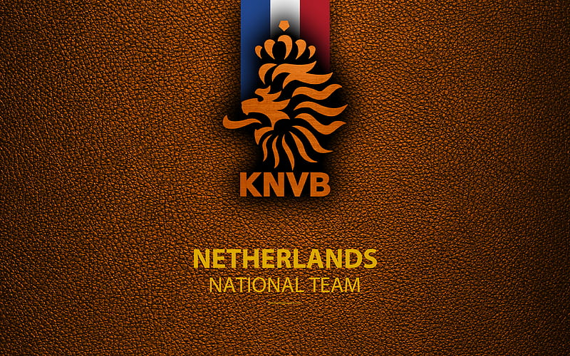 Netherlands national football team leather texture, emblem, logo, football, Netherlands, HD wallpaper