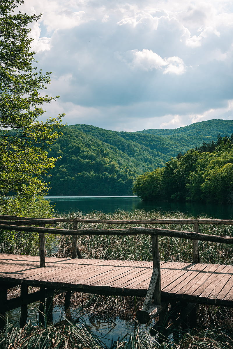 hills, forest, trees, lake, bridge, landscape, HD phone wallpaper