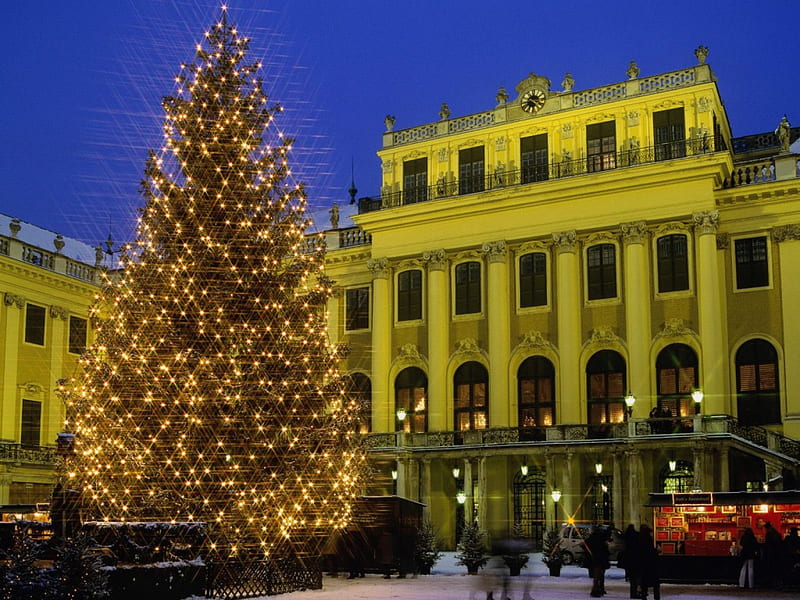 Christmas in Vienna, Austria, holiday lights, cityscapes, christmas, winter, HD wallpaper