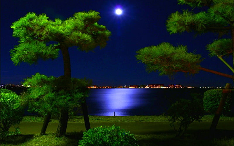 ROMANTIC NIGHT, moon, city, lights, sea, night, fullmoon, HD wallpaper