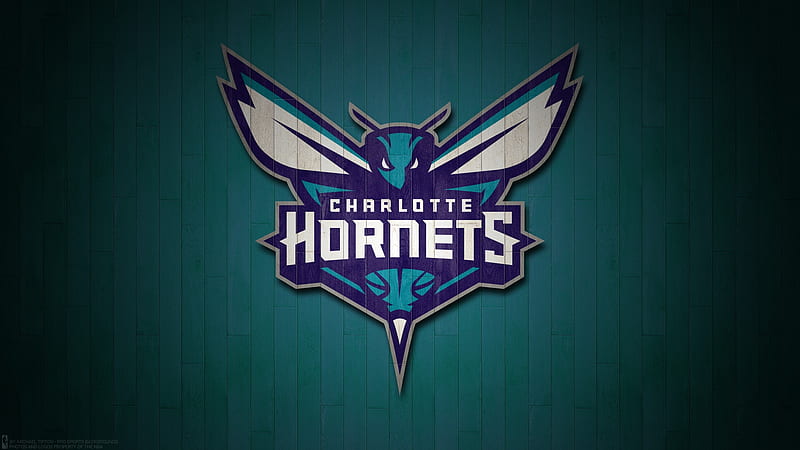 Charlotte Hornets, Emblem, Hornets, NBA, Logo, Basketball, Charlotte, HD wallpaper