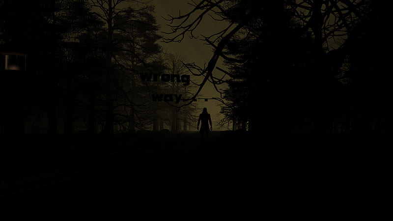 silhouette, dark, night, forest, trees, HD wallpaper
