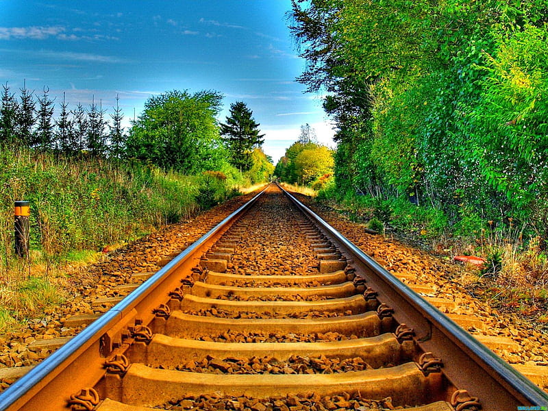 Railroad, greenery, sunny, bonito, country, sky, clouds, tree, nature, road, rails, HD wallpaper