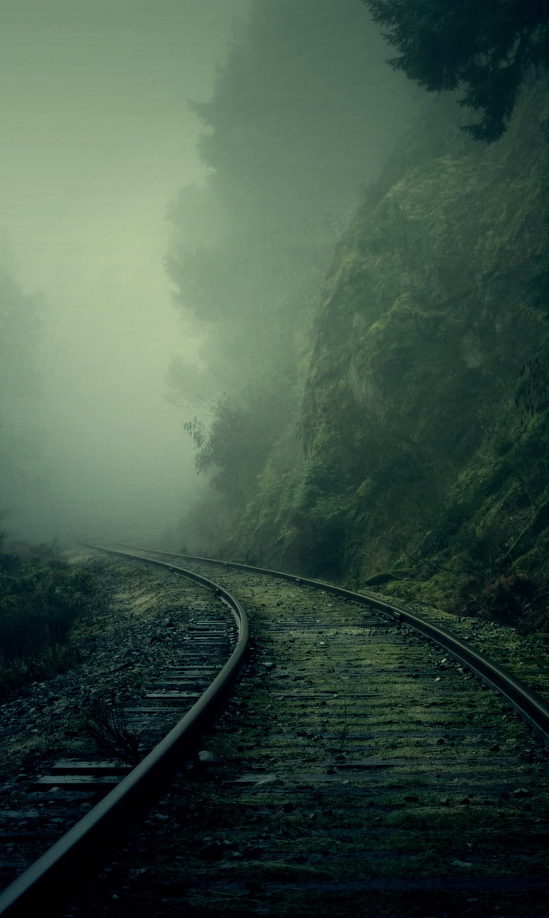 Path, fog, fuzzy, green, life, scenery, HD phone wallpaper