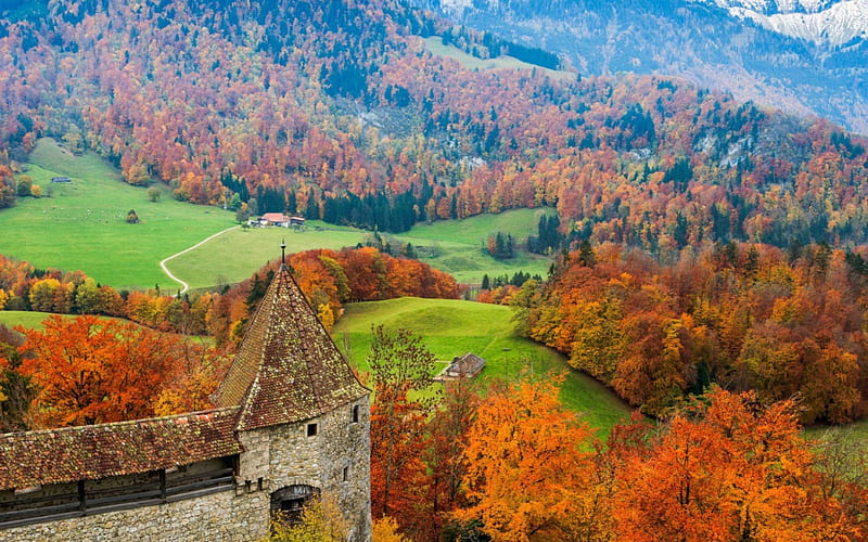 Autumn in Gruyeres Switzerland, near Lausanne, small village, autumn colours, Swiss Alps, beautiful valley, clean air, near Montreux, HD wallpaper