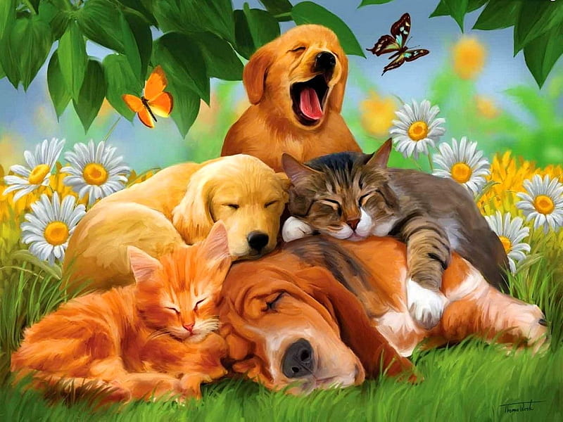 Sleeping, art, sleep, caine, yellow, cat, cute, butterfly, green, garden, flower, painting, summer, jenny newland, pisici, dog, puppy, vara, HD wallpaper