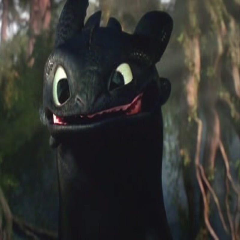 toothless, black dragon, how to train your dragon, smile, HD phone wallpaper