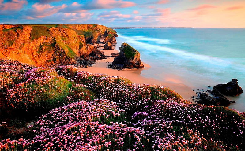 Coast Flowers, oceans rock, clouds, landscape, beautiful day, cenario ...
