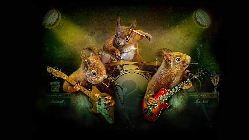 Squirrel Band, creative, animal, veverita, squirrel, drummer, band, cute, fantasy, instrument, guitar, trio, funny, HD wallpaper