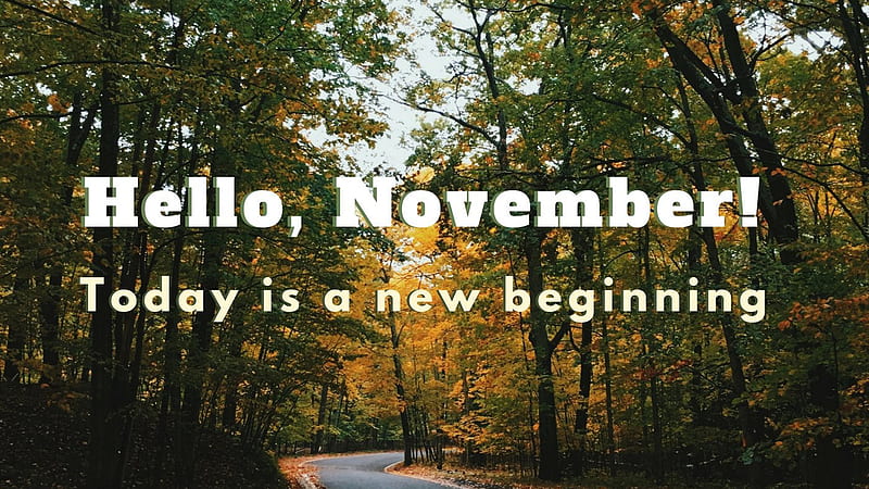 Hello November Today Is A New Beginning In Autumn Trees Background November, HD wallpaper