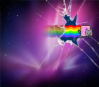 Nyan Cat, 2560x1600, poptart, awesome, nyancat, rainbow, lol, cat, HD ...
