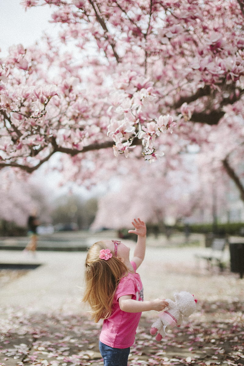 girl under cherry blossom tree, HD phone wallpaper