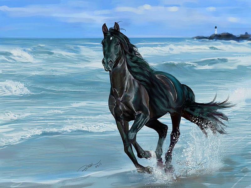 black thoroughbred stallion running