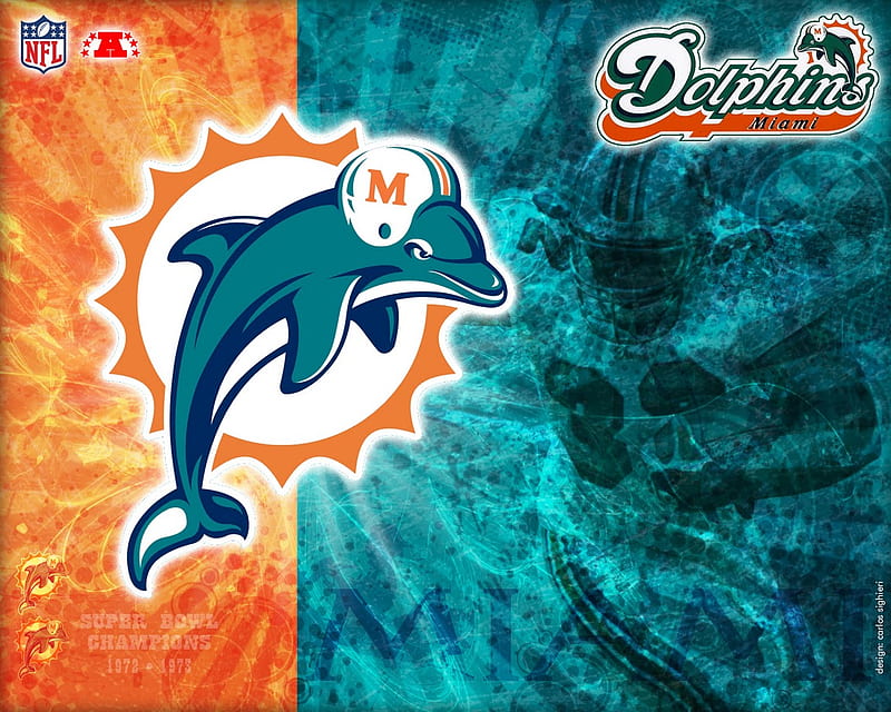 5,610 2011 Miami Dolphins Stock Photos, High-Res Pictures, and