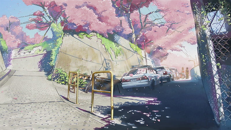 4k Anime Cherry Blossom Wallpaper — papr