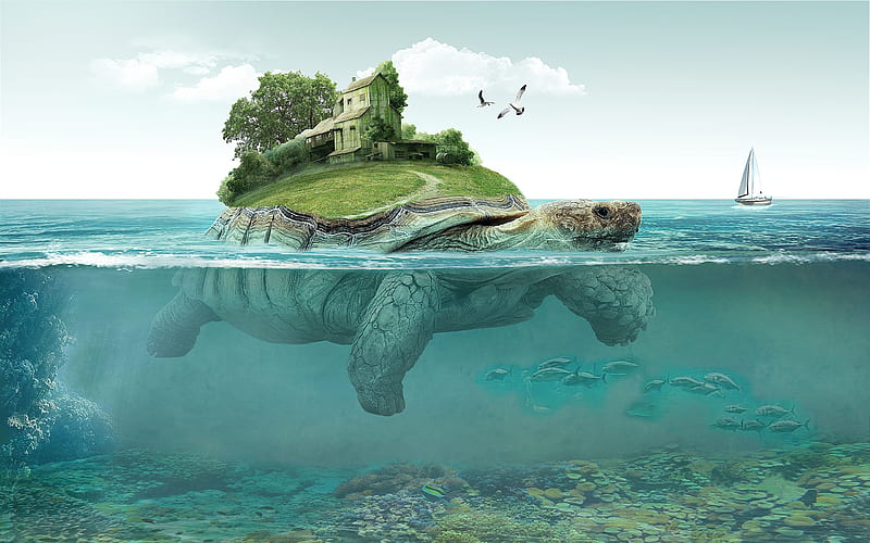 turtle, sea, island, house, underwater world, HD wallpaper