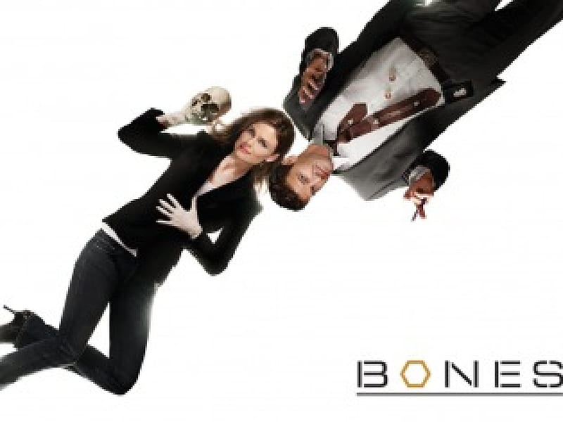 TV Show Bones HD Wallpaper