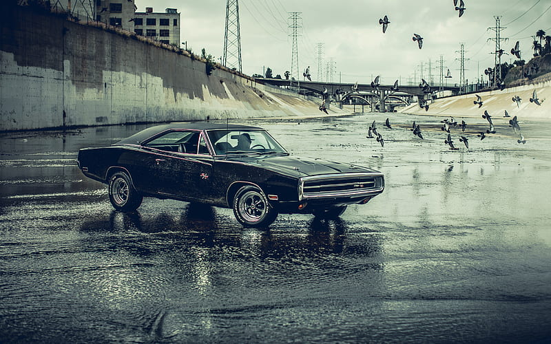 Dodge charger, car, charger, cool, dodge, muscle, new, speed, vehicle, HD  wallpaper | Peakpx