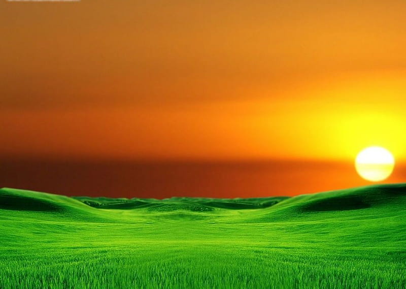 Sunset Longhorn, sun, grass, orange, yellow, bonito, clouds, grasslands, graphy, nice, gold, green, sunsets, longhorn, fields, sunrise, amazing, horizon, sky, cool, awesome, hop, nature, landscape, HD wallpaper