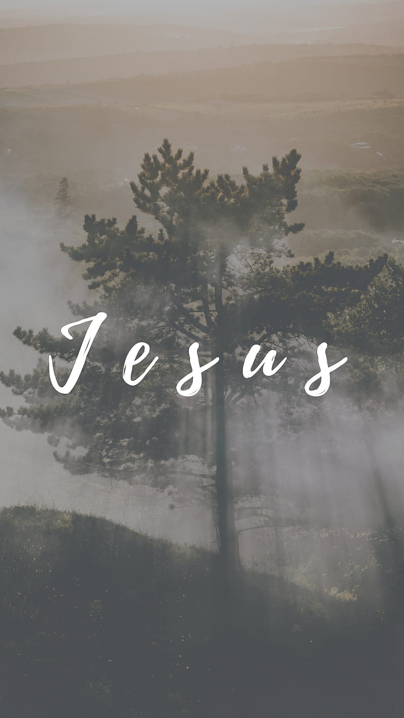 Jesus, deus, floresta, frase, gospel, HD phone wallpaper | Peakpx