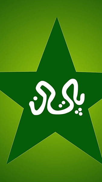 Cricket Player Batsman Batting Retro Pakistan Stock Illustration -  Illustration of logo, pakistan: 21822945