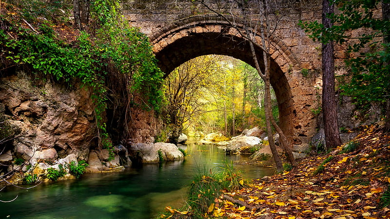 Stone bridge in autumn, fall, forest, leaves, brige, autumn, stone, river, park, foliage, HD wallpaper