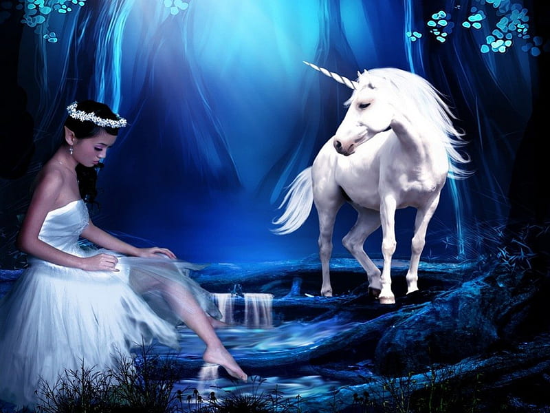 Unicorn groove, Unicorn, white, Fantasy, blue, HD wallpaper