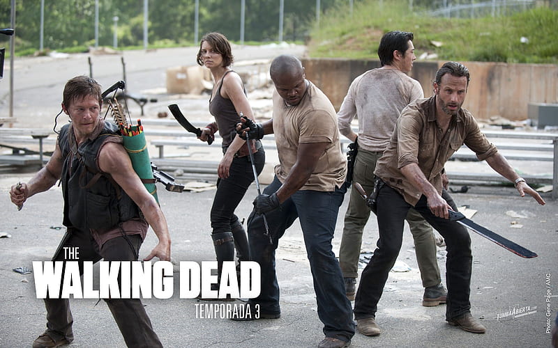The Walking Dead-American TV series 12, HD wallpaper