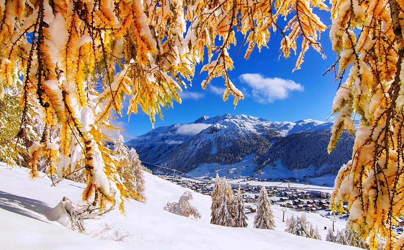Early Snow in Late Autumn, tree, leaves, graphy, mountains, landscape, HD wallpaper