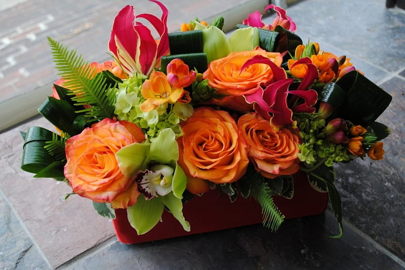 Still life, sia, orange roses, orchid, flowers, floral arrangements, HD wallpaper