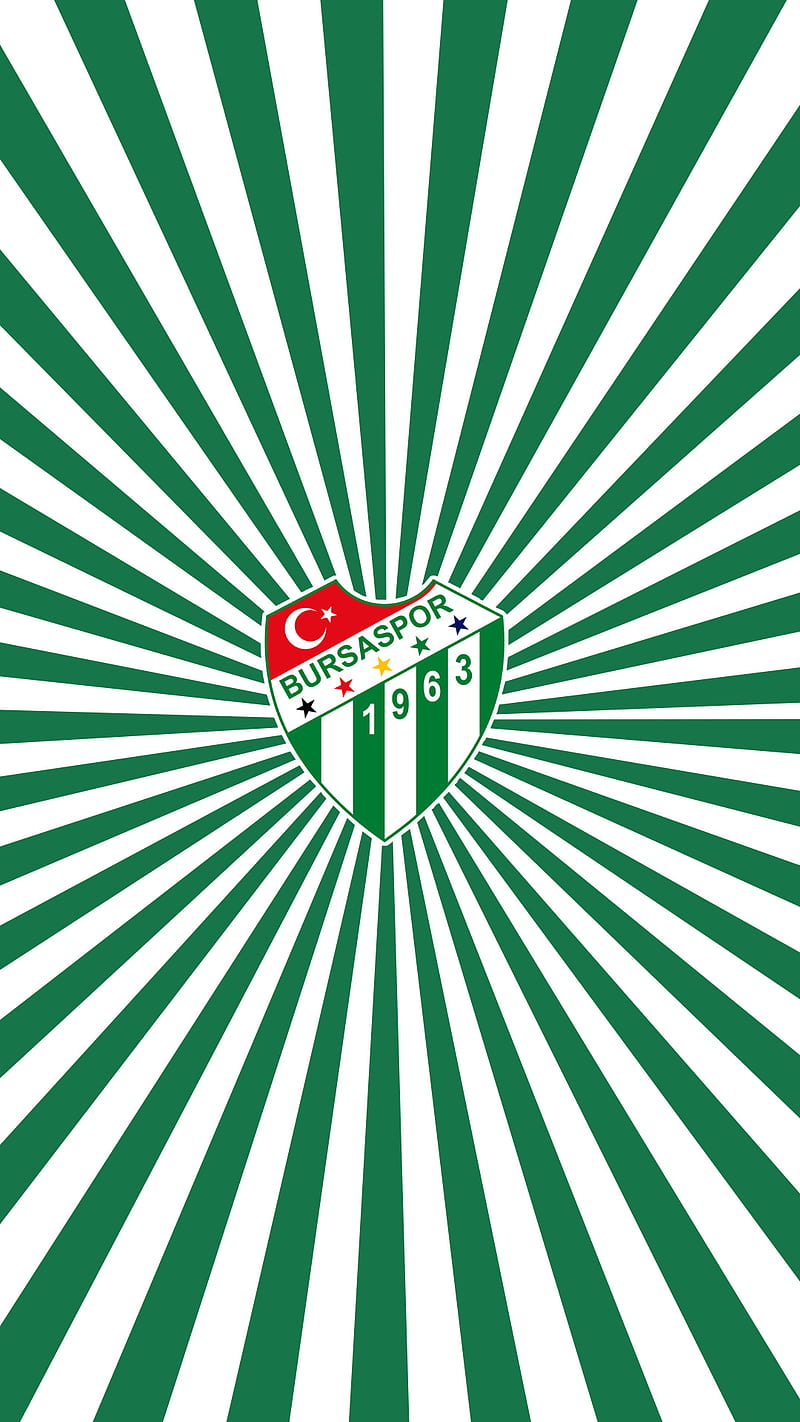 Bursaspor , bursa, crocodile, football, green, teksas, timsah, white, HD phone wallpaper