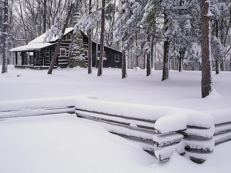Winter Retreat, fence, snow, woods, cabin, winter, HD wallpaper